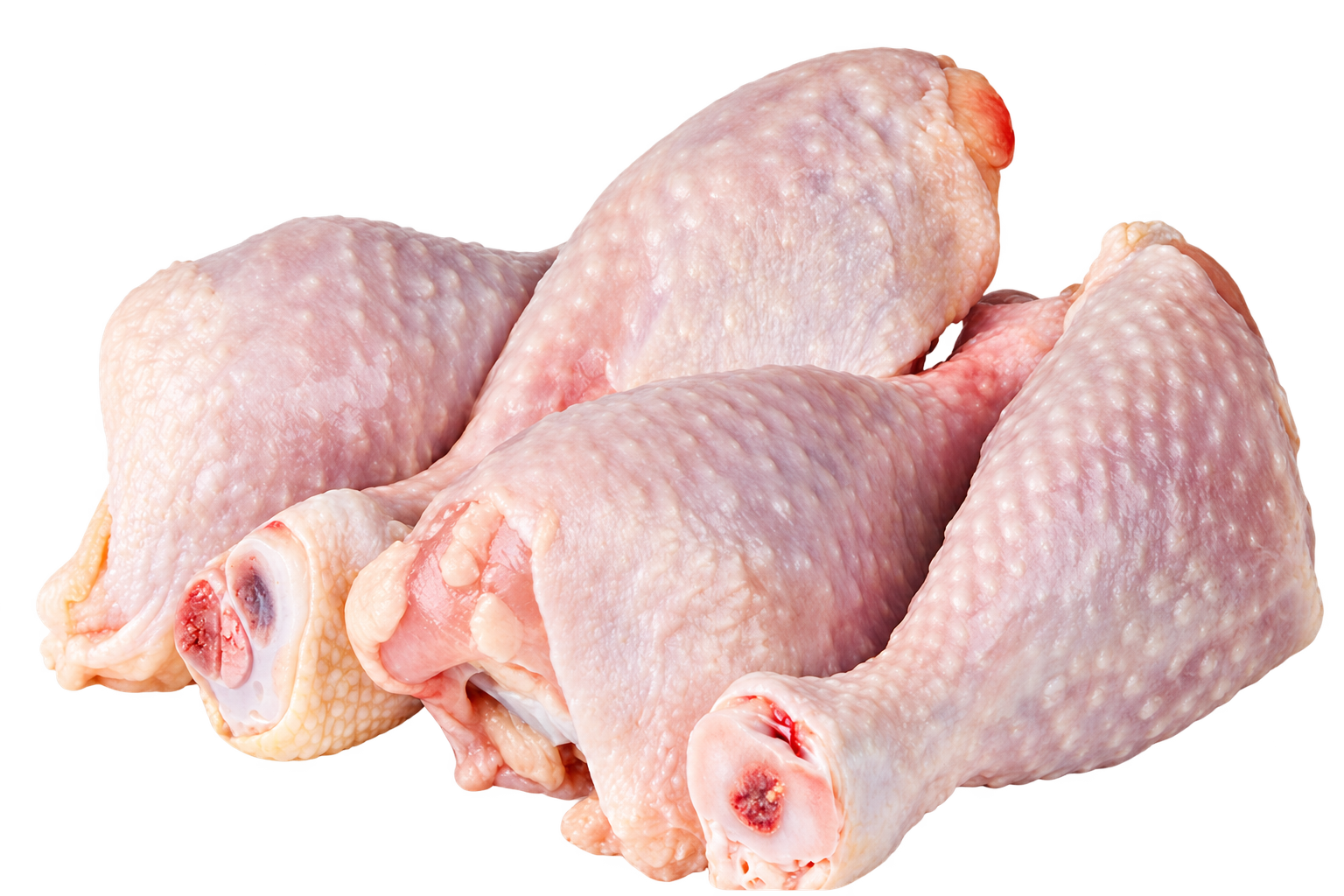 Healthy Chicks and Breeding Hens